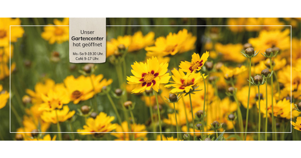 Gartencenter Hamburg Seevetal BELLANDRIS Matthies