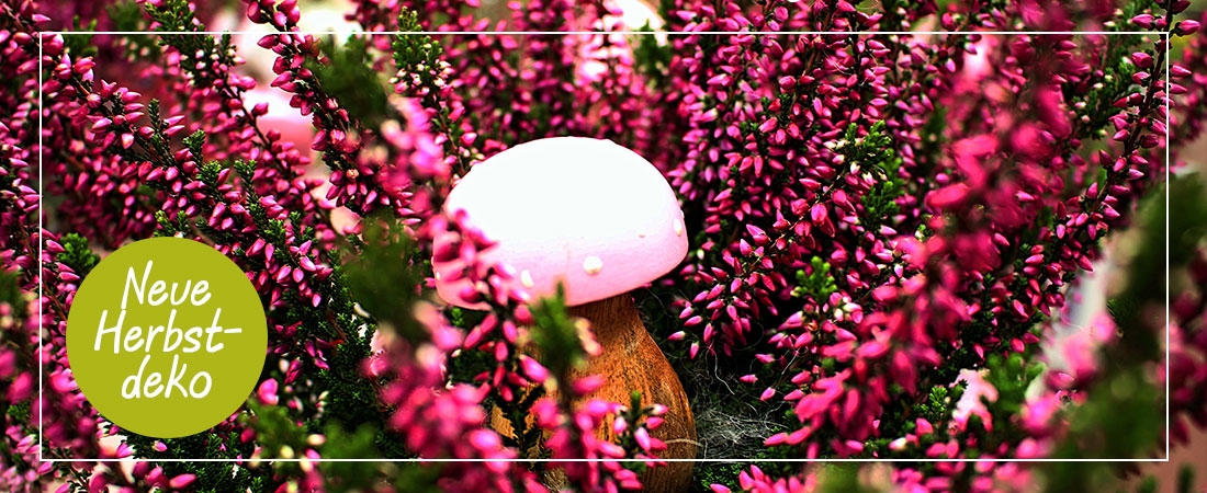 Gartencenter Hamburg Seevetal BELLANDRIS Matthies
