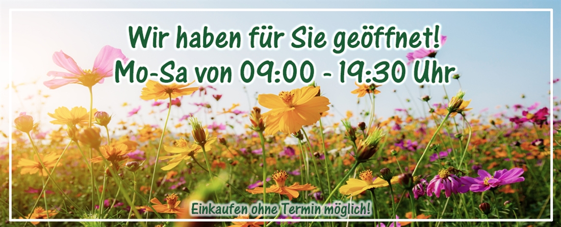 Gartencenter Hamburg Seevetal BELLANDRIS Matthies