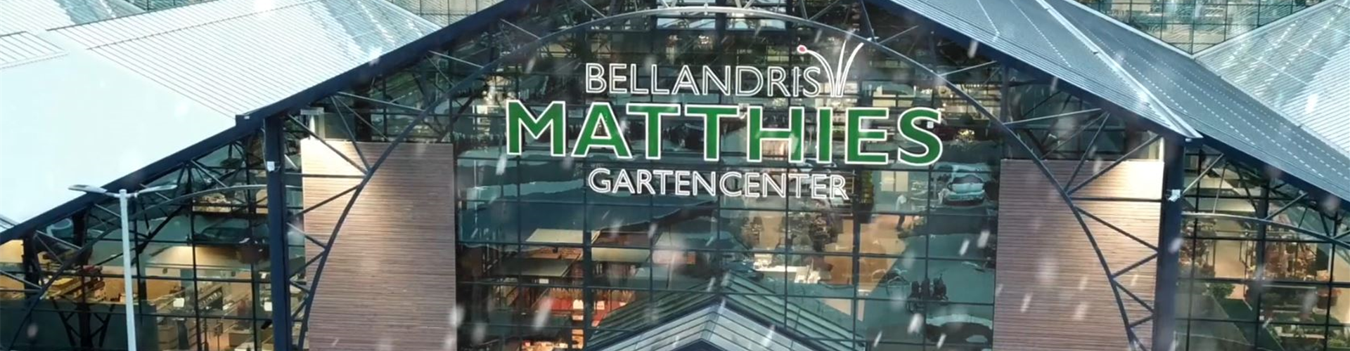 Weihnachten Matthies Gartencenter