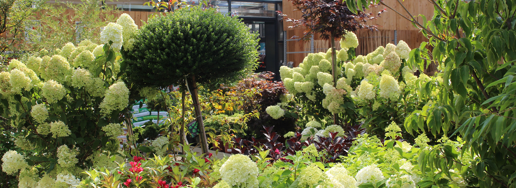 Gartencenter Hamburg Seevetal BELLANDRIS Matthies