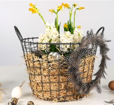 Ostern im Korb Ostern im Korb