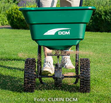 Rasenpflege Rasenpflege