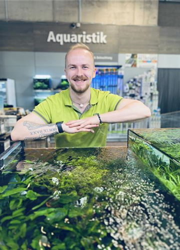 Jan Mike Philipp Jan Mike Philipp