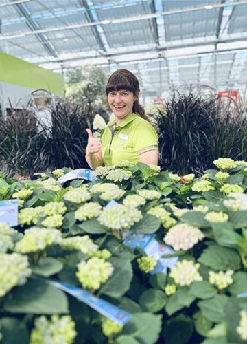 Susanne Brosig Susanne Brosig