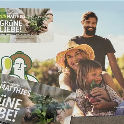 MATTHIES CARD MATTHIES CARD