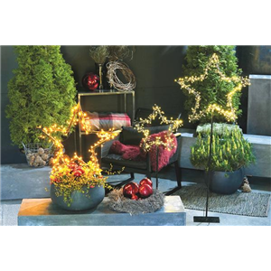 LICHTBLICKE IM WINTER-GARTEN!