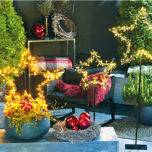 LICHTBLICKE IM WINTER-GARTEN!