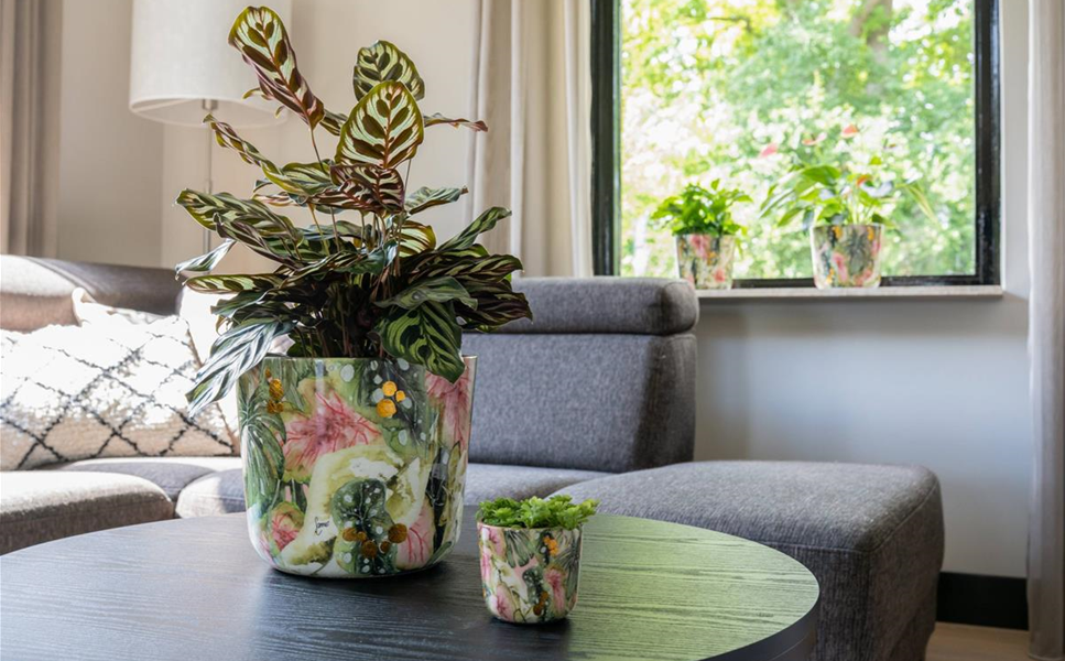 Pflanzgefäße - Pflanzen stilvoll in Szene setzen Pflanzgefäße - Pflanzen stilvoll in Szene setzen