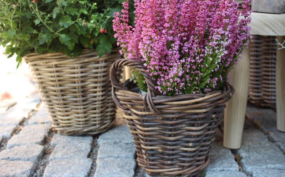 Pflanzgefäße - Online Sortiment Pflanzgefäße - Online Sortiment