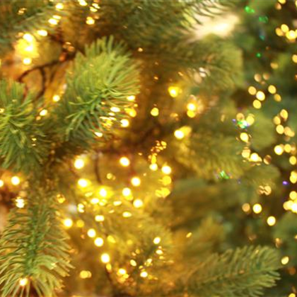 Künstliche Weihnachtsbäume - täuschend echt!