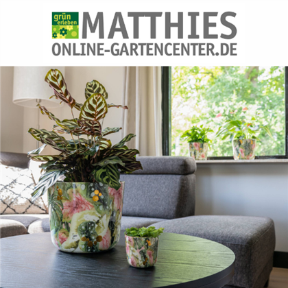 Artikelsuche im Onlineshop