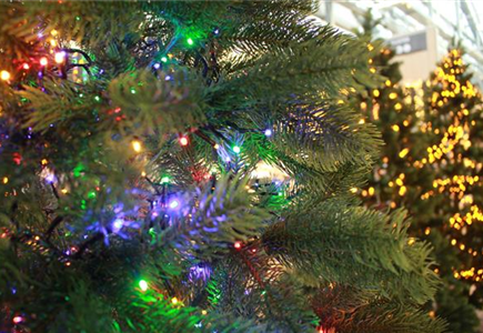 Licht an, Winterzauber an