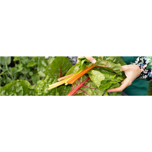 Buch des Monats: März!