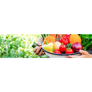 Buch des Monats: April!