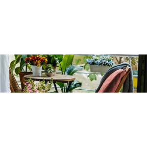 Buch des Monats: Mai!