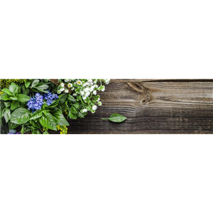 Buch des Monats: Juni!