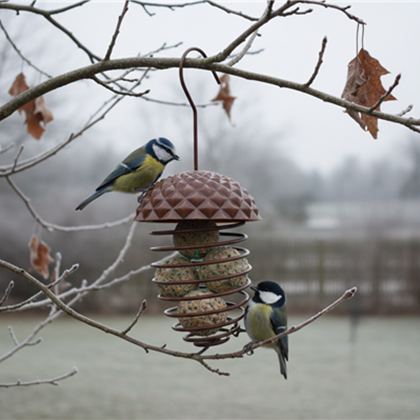 Futterstationen für Wildvögel