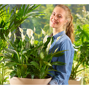 Luftverbesserer: Einfach tief durchatmen!