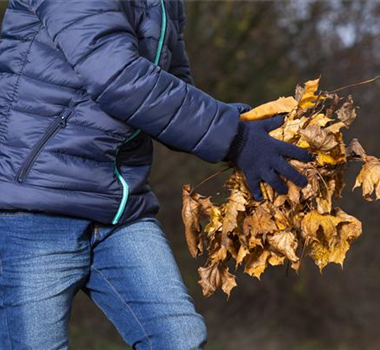 Allgemeine Gartenarbeit im Oktober Allgemeine Gartenarbeit im Oktober