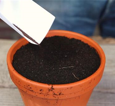 Ziergarten im Januar Ziergarten im Januar