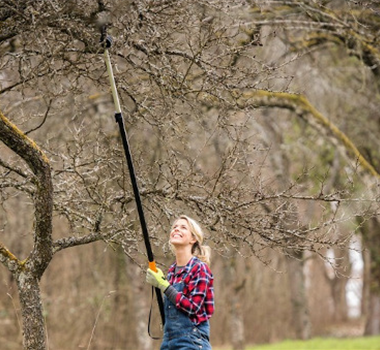 Ratgeber Obstbaumschnitt im Winter Ratgeber Obstbaumschnitt im Winter