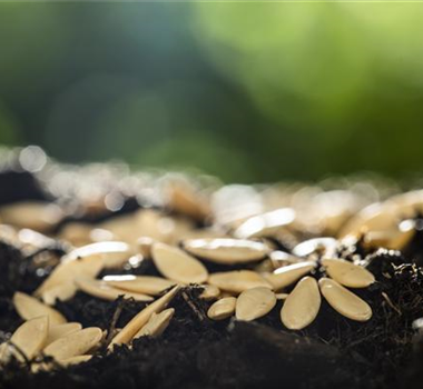 Terrasse & Balkon im Februar Terrasse & Balkon im Februar