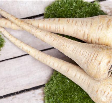 Gemüse-, Kräuter- und Obstgarten im November Gemüse-, Kräuter- und Obstgarten im November