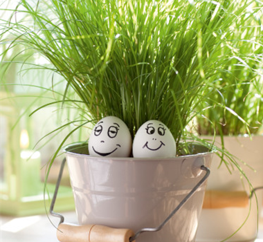 Ostern liegt in der Luft Ostern liegt in der Luft