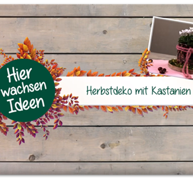 Herbstdeko mit Kastanien Herbstdeko mit Kastanien