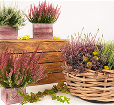 DIY Herbstlicher Korb DIY Herbstlicher Korb