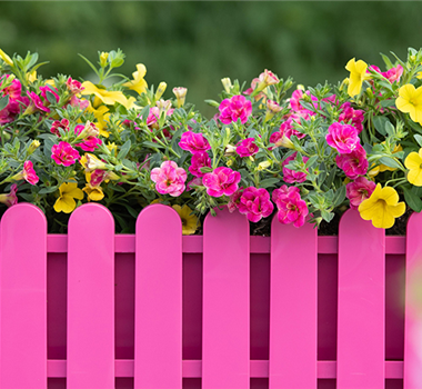 Balkonkästen bepflanzen  Balkonkästen bepflanzen
