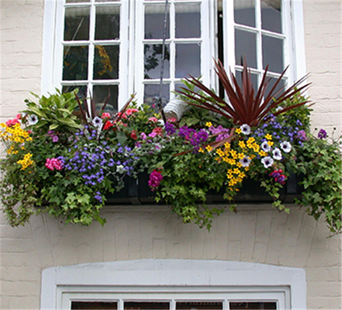 blumenkasten dreiecksform Blumenkübel 
