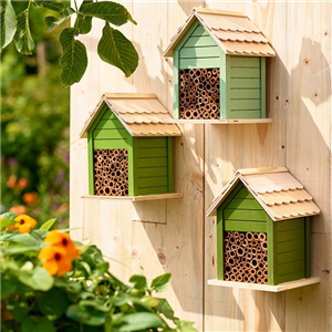 Insektenfreundliche Stauden und Pflanzen