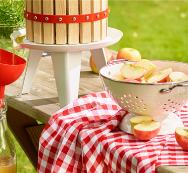 Jetzt wird geerntet! Jetzt wird geerntet!