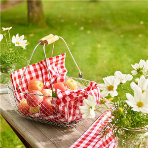 Jetzt wird geerntet!