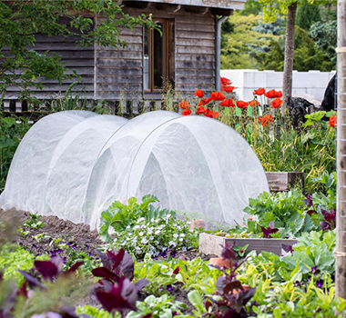 Selbstversorgung Selbstversorgung