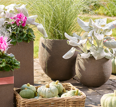 Der Herbst ist da Der Herbst ist da