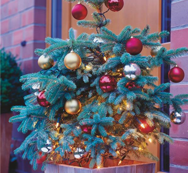 Traumhafte Last-Minute-Geschenke Traumhafte Last-Minute-Geschenke