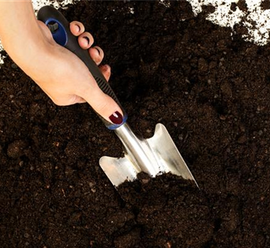 Allgemeine Gartenarbeit im März Allgemeine Gartenarbeit im März