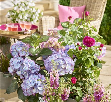 Terrasse & Balkon im Juni Terrasse & Balkon im Juni