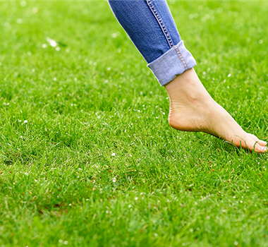 Es grünt so grün Es grünt so grün