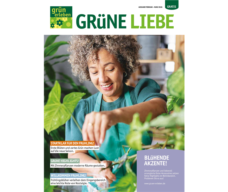 Ausgabe Januar-März 2026