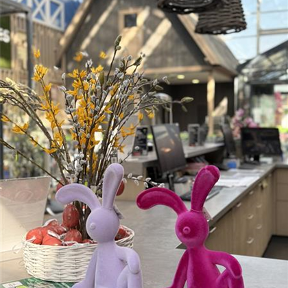 Verkaufsoffener Sonntag 11-17 Uhr