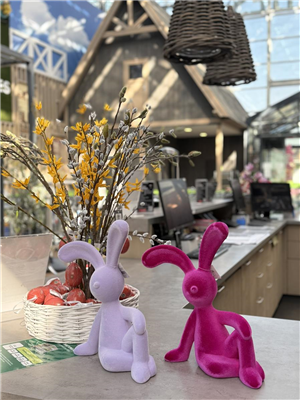 Verkaufsoffener Sonntag 11-17 Uhr