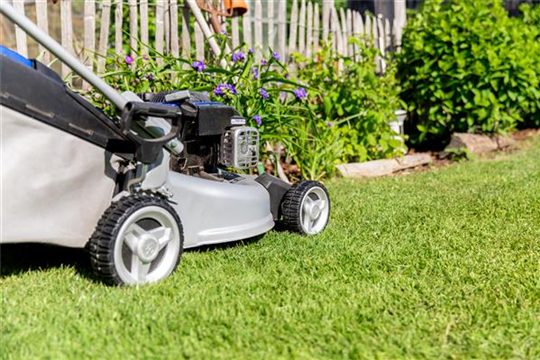 Rasenmäher Rasenmäher