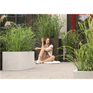 Gräser als Terrassenschmuck