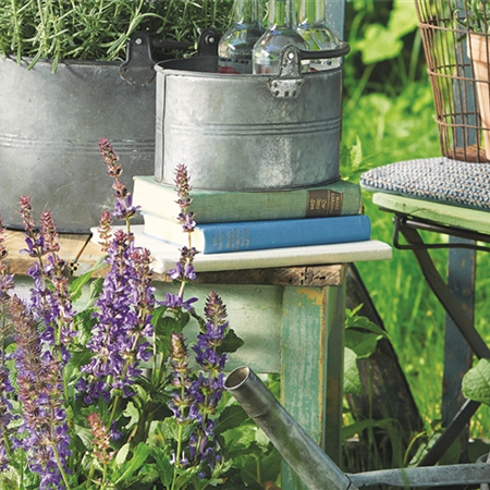 SOMMER IM STAUDENGARTEN!