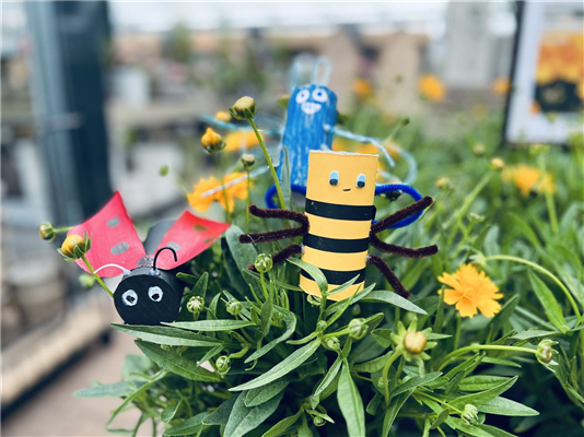 Weltrekord-Aktionstag: Basteln gegen das Insektensterben!