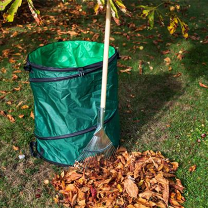 Gartenseminar "Rasen im Herbst"